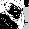 Hobby Pug
